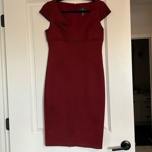 Beautiful Fitted Dressed